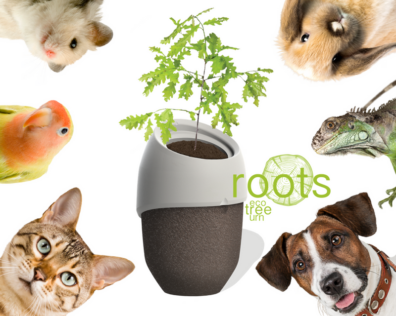 Roots for pets Biodegradable Cremation tree urns with seeds